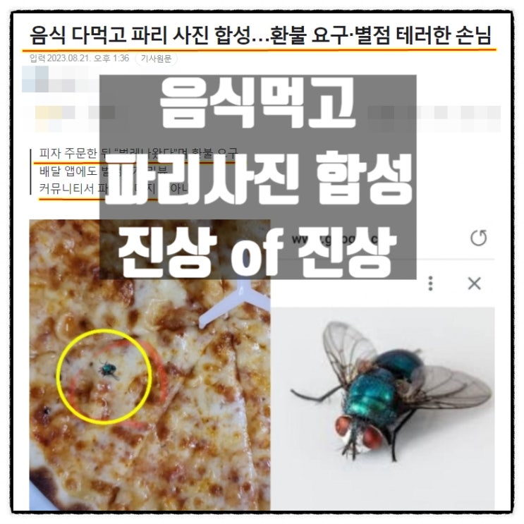 피자 시켜먹고 파리사진합성 환불요구 배달앱 별점테러 진상