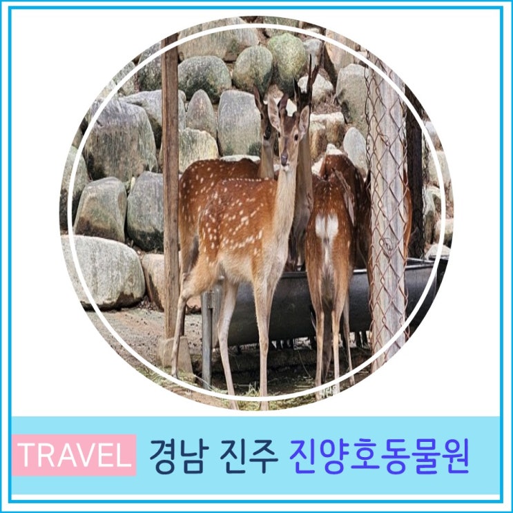  부산 창원 근교 아이와 가볼만 한 곳 경남 진주 진양호 동물원 당일치기