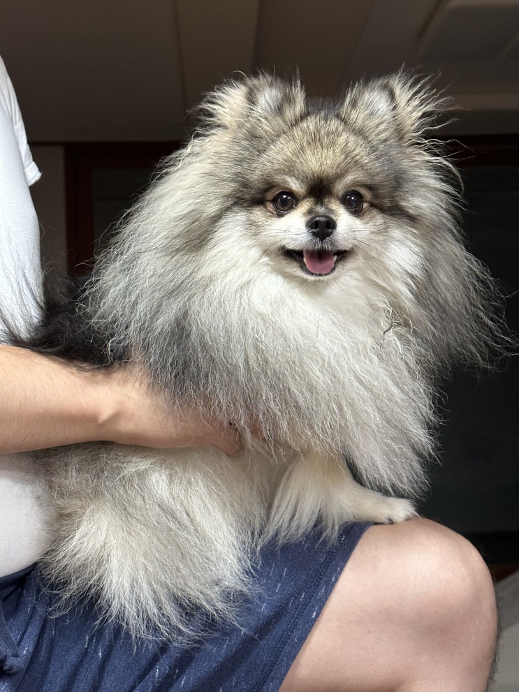  활기찬 표정의 꾸꾸