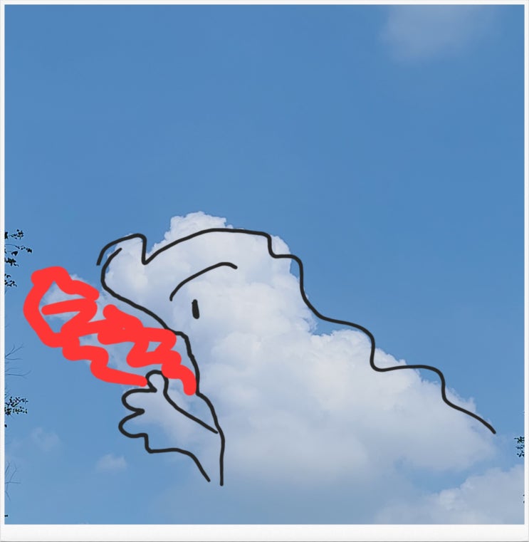 지난주 일상 ( 08.14 ~ 08.21 ) 지난주 일상 ( 08.14 ~ 08.21 )
