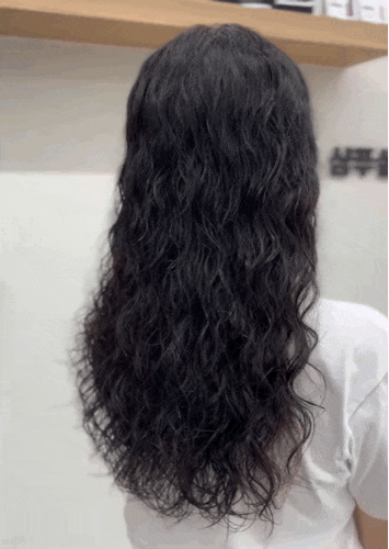  배곧 미용실_살롱드무제(feat.히피펌후기/내돈내펌)