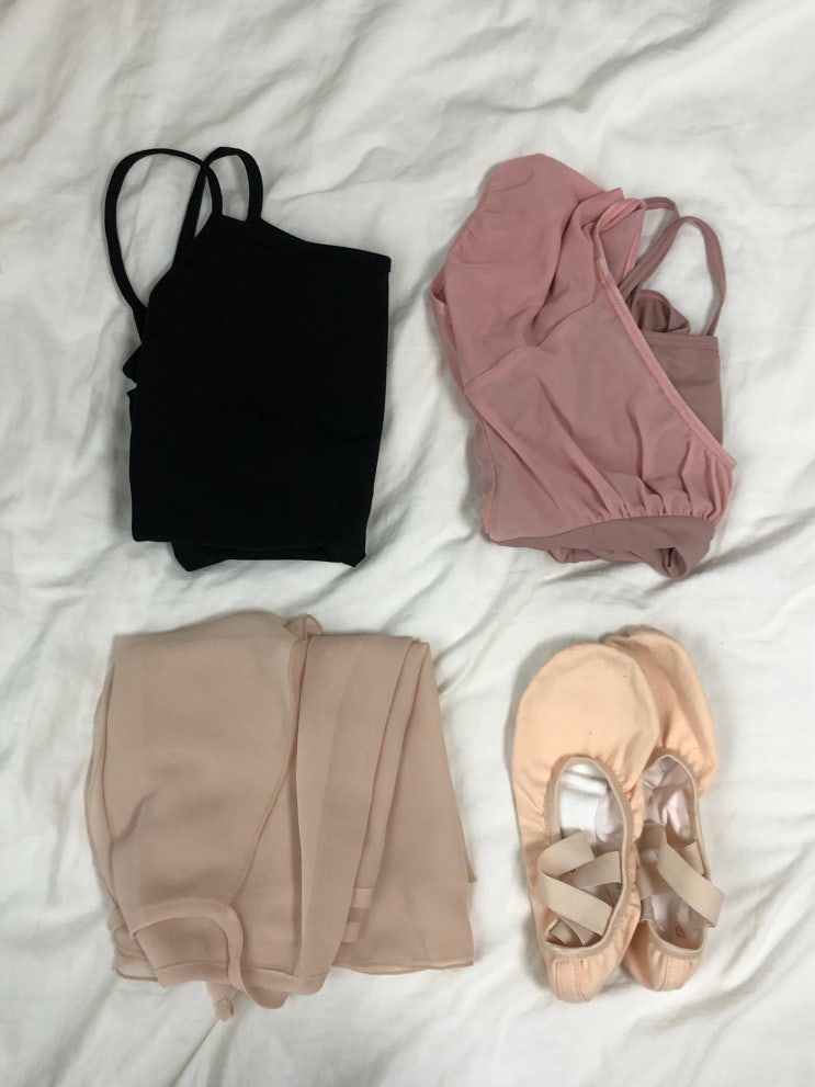  발레 한달 차 후기  (성인발레학원 가격, 꿀팁, 그랑바뜨망 발레복)