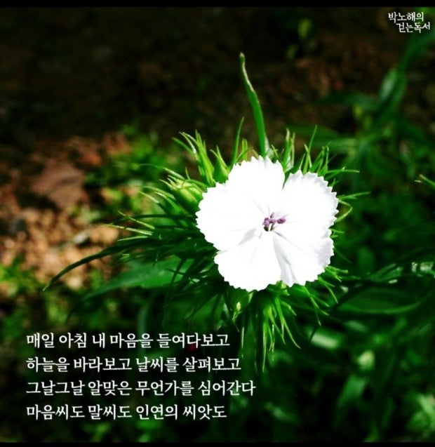  금주 비법을 알려주세요? (금주  230일째)