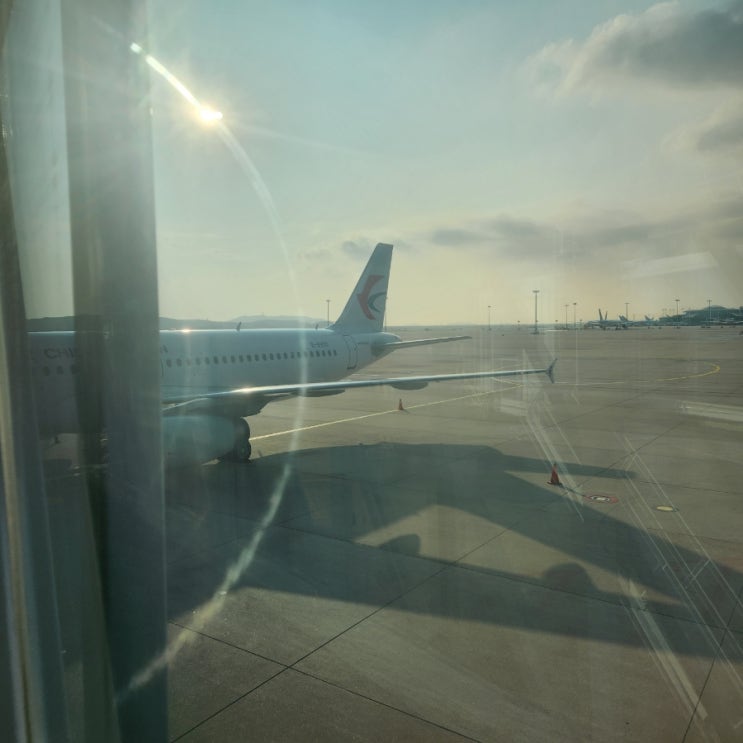  [중국 출국 입국 필수 서류] 건강신고서 작성방법 (QR코드 발급)