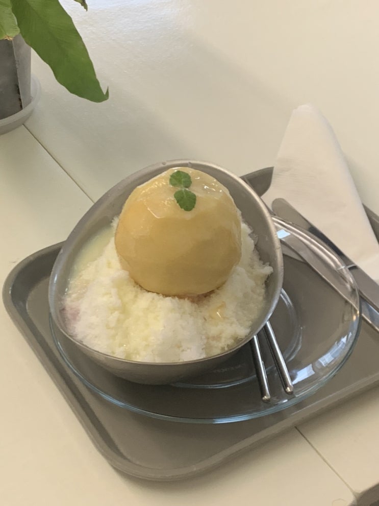  [합정] 콘드(KOND): 키치하고 아늑한 분위기 카페 ft. 예쁜 식물들 & 복숭아 빙수
