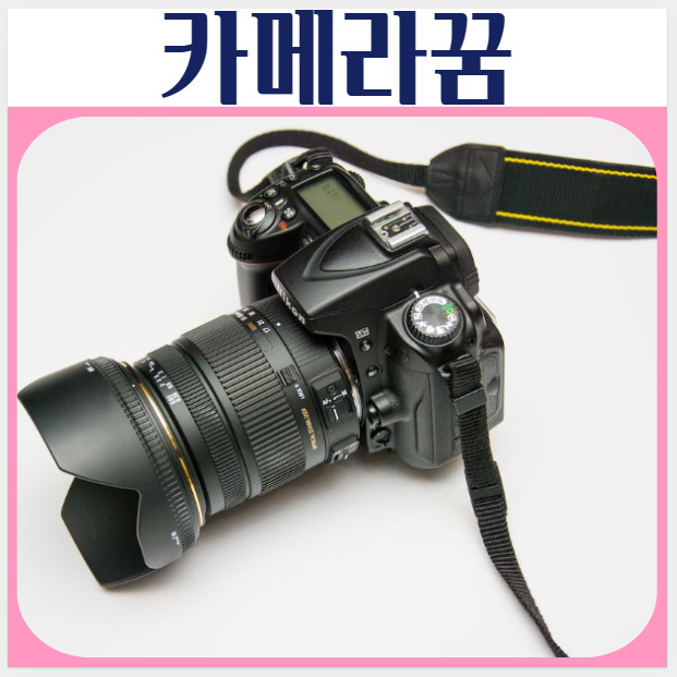  카메라 사는꿈, 고장난꿈, 사진찍는꿈, 촬영하는 꿈해몽