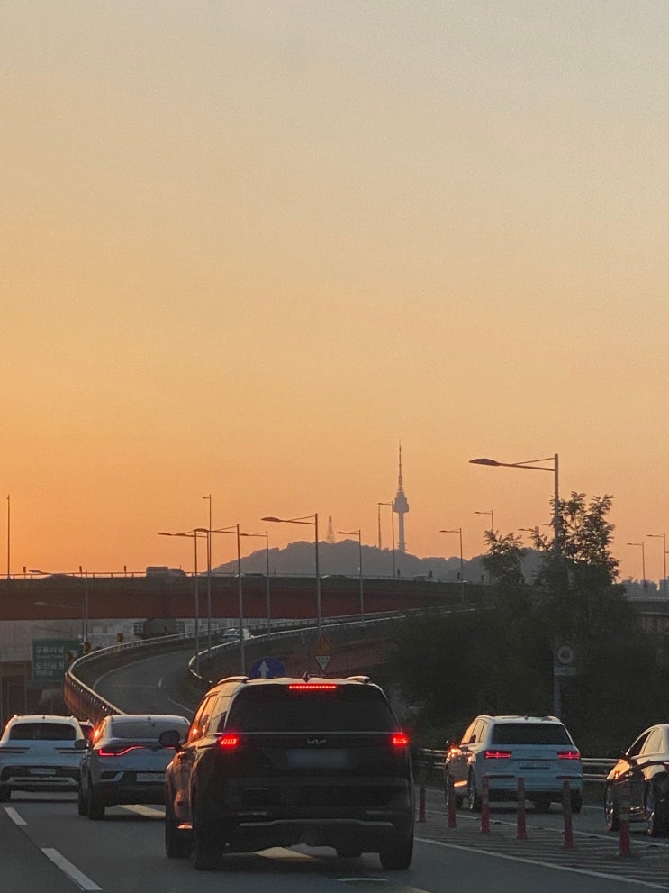  요새 인생 재밌게 사는거 같은 너낌 - 8월 셋째주 일상