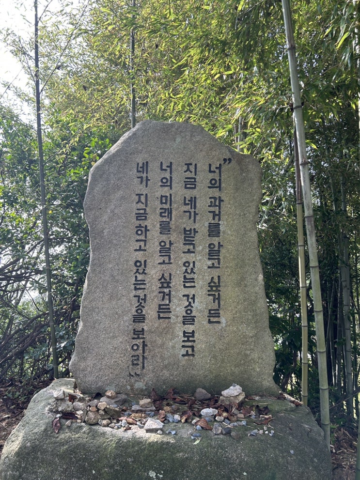  해파랑길 2일차 <집 가고 싶어>