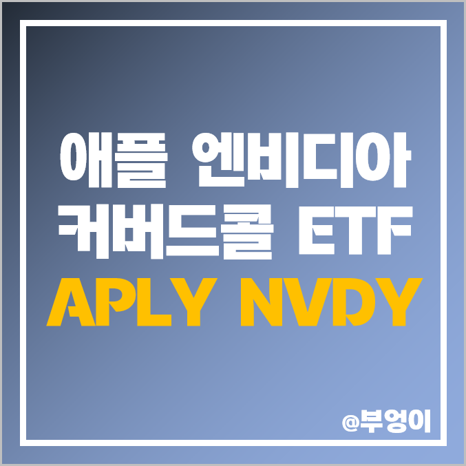 미국 커버드콜 ETF APLY NVDY 애플 엔비디아 관련주 배당락일 미국 커버드콜 ETF APLY NVDY 애플 엔비디아 관련주 배당락일