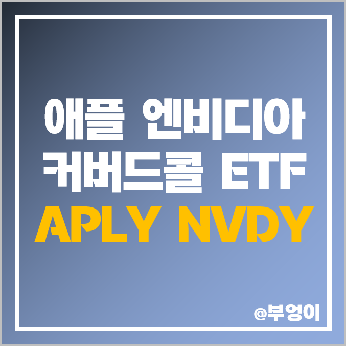 미국 커버드콜 ETF APLY NVDY 애플 엔비디아 관련주 배당락일