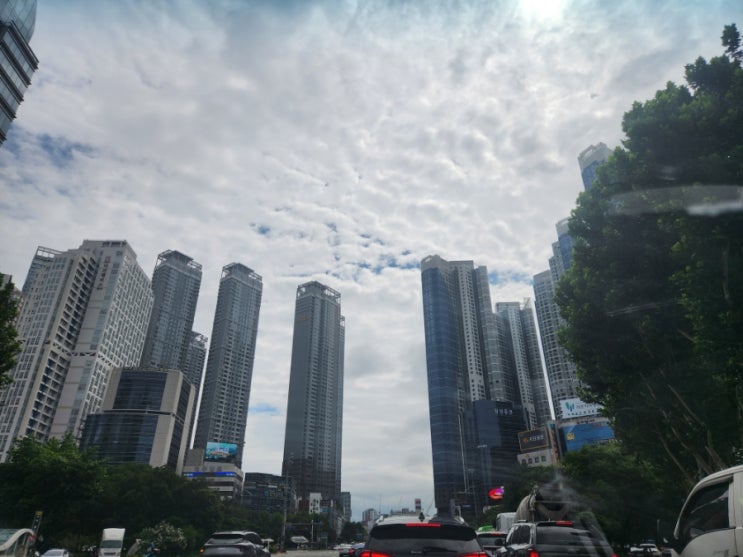  대구 지역 부동산 둘러본 소감