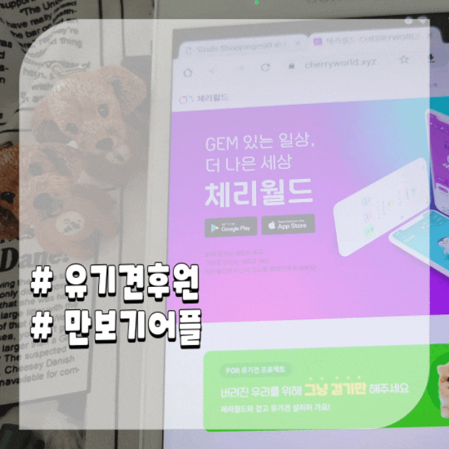  강아지 산책하며 유기견후원하는 체리월드 만보기어플
