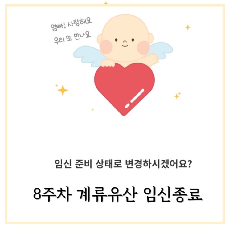  [임신일기] 임신 8주차 / 계류유산 유산후몸조리 , 임신종료