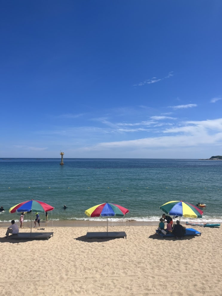  여름방학 강원도 속초, 고성 여행 1탄 - 평강막국수, 칠성조선소, 보배진, 노메드