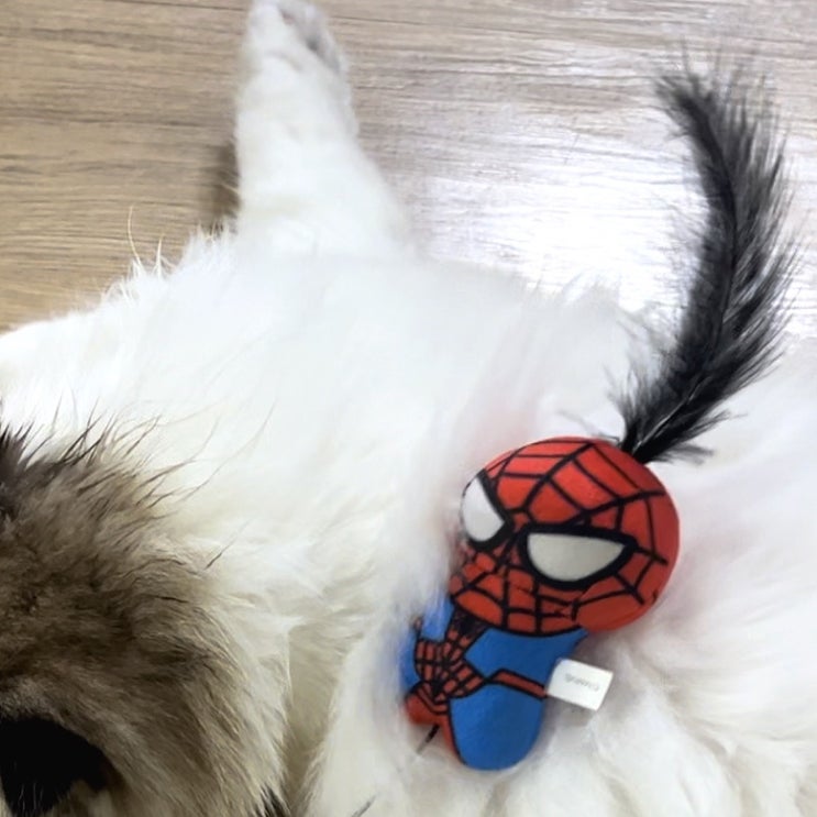  [고양이 장난감] 스파이더맨_인형 낚싯대, 다이소 고양이 장난감