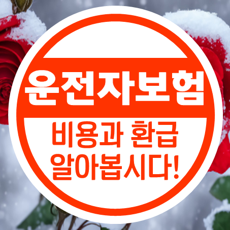  길 위의 수호신 운전자보험 비용 및 운전자보험 만기환급, 이렇게 알아보세요.