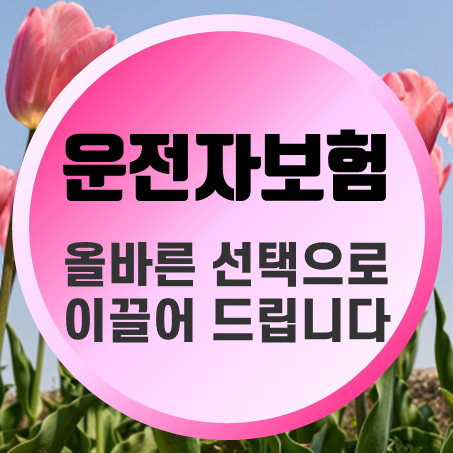  올바른 선택, 당신의 안전을 지키는 운전자보험 금액 및 운전자보험 기간 안내