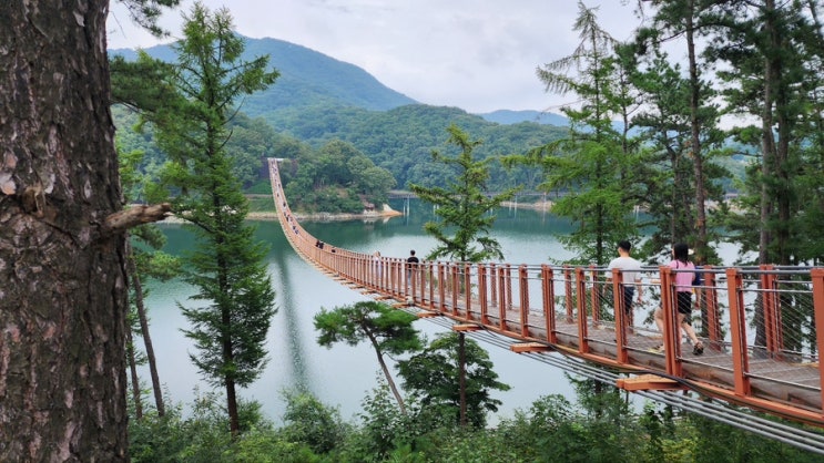  "마장호수 출렁다리" 가족들과 서울 근교 파주 나들이