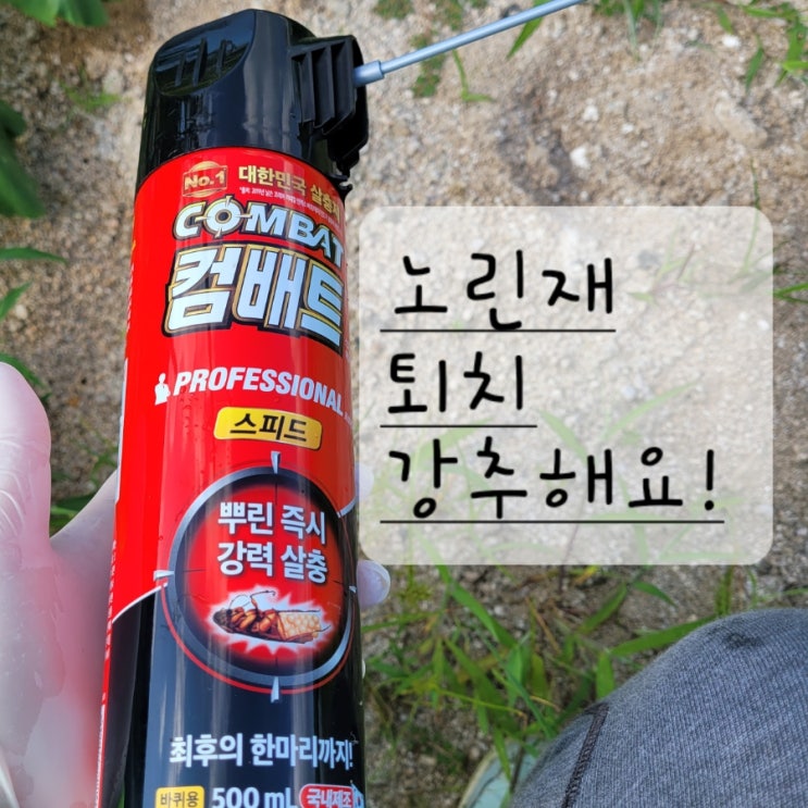  노린재 퇴치방법, 완벽제거