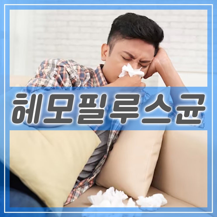  B형 헤모필루스균 인플루엔자(Hib)와 예방접종