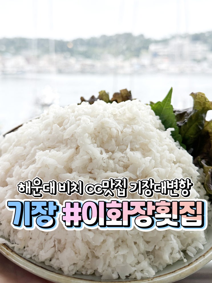  해운대 비치cc 맛집 대변항 아나고 기장 이화장횟집
