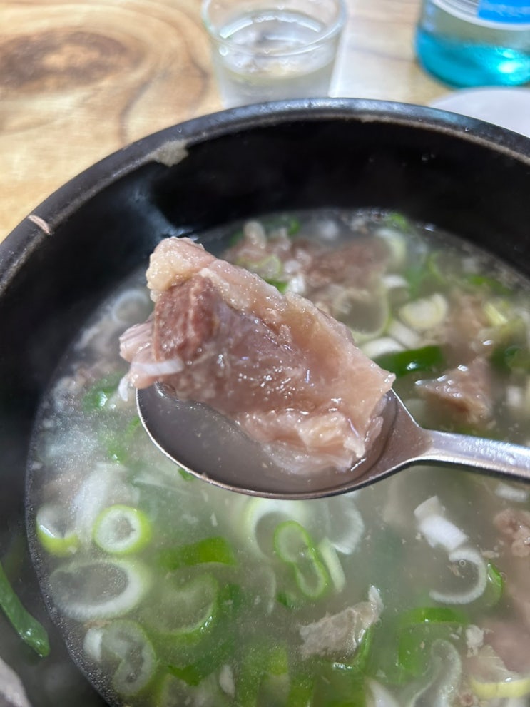  서울 종로구 사직로 대성집 독립문 맛집 미슐랭 가이드 도가니탕 설렁탕 곰탕 스지 성시경 먹을텐데 혼밥 혼술 진로 새로 소주 한잔 포장 가능