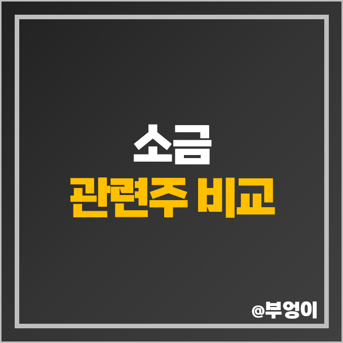 천일염 소금 관련주 대장주 인산가 주가 오염수 방류 주식 천일염 소금 관련주 대장주 인산가 주가 오염수 방류 주식