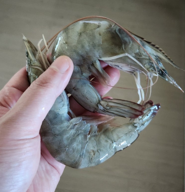 완도총각네수산물 바다좋은,자연산새우 직거래(대하) 사이즈 실하다~ 완도총각네수산물 바다좋은,자연산새우 직거래(대하) 사이즈 실하다~