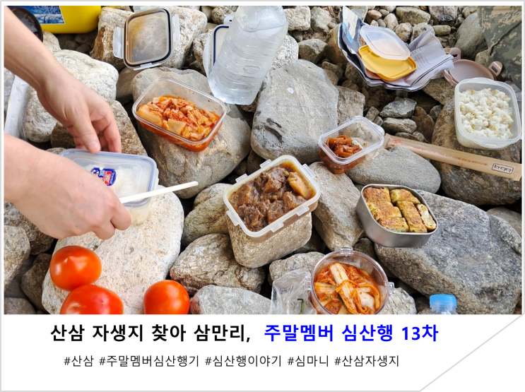  산삼 자생지 찾아 삼만리,  주말멤버 심산행 13차