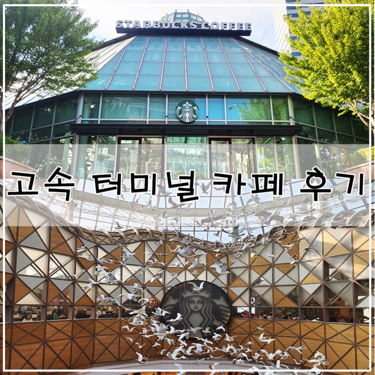  [강남 고속터미널 카페] | 스타벅스 파미에파크 R점  블랙핑크 딸기 초코바움 쿠헨 내돈내산후기