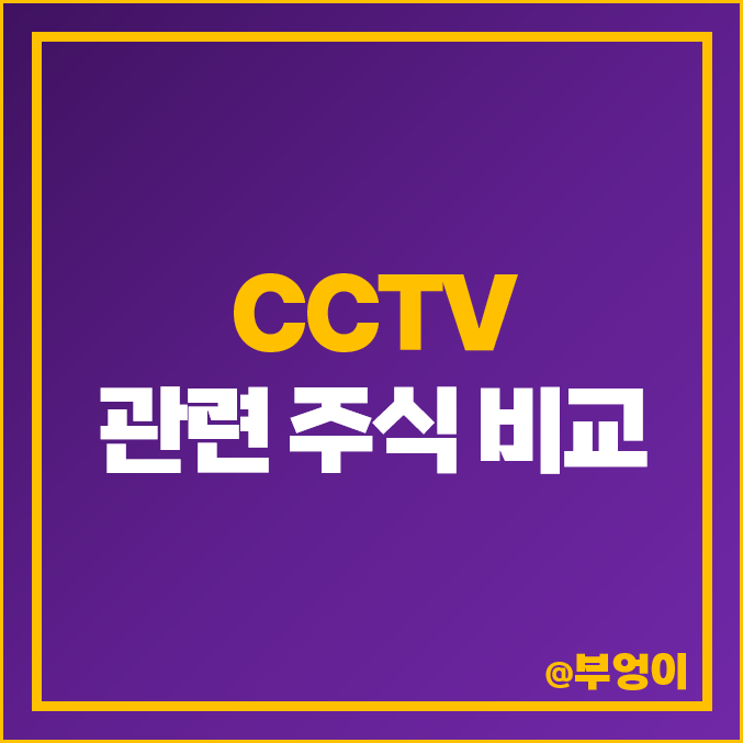 CCTV 관련주 테마주 코콤 포커스에이치엔에스 코맥스 주식 주가