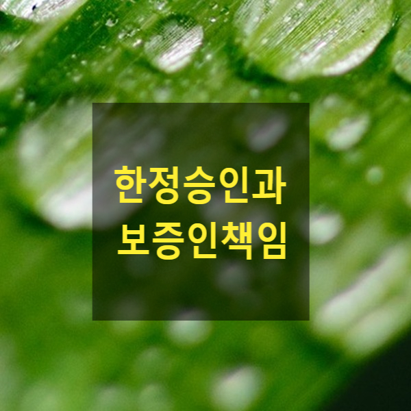  상속인이 한정승인을 한경우 보증인 책임도 감축되는지