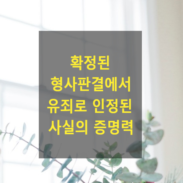  확정된 형사판결에서 유죄로 인정된 사실의 증명력