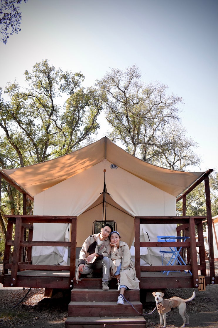  [Sonoma] 샌프란시스코에서 1시간 소노마 글램핑, WildHaven Sonoma Glamping/ 와일드 해이븐 (와일드해븐)