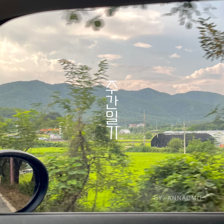  주간일기 : 내 삶의 낙