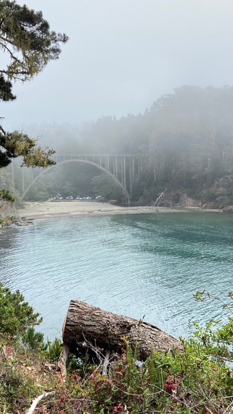  [Mendocino] 캘리포니아 1번 국도 북쪽 꿈 속 여행, Russian Gulch & Big River/러시안 굴치 & 빅리버