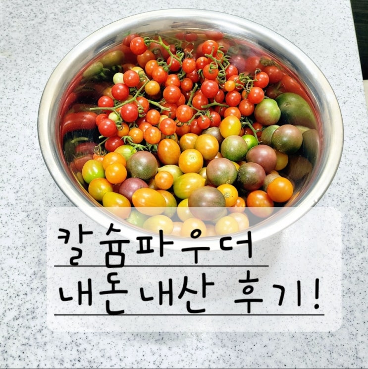  텃밭 수확 야채 과일 세척은 이제부터 자연그램 칼슘파우더로