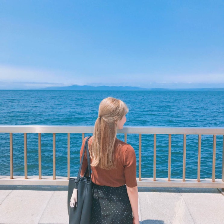  [블라디보스톡] 6월 3박4일 자유 여행 DAY 2: 해양공원 놀이기구, 곰새우, 요새박물관