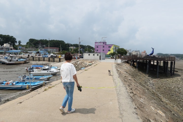  옹진진 영흥도 강아지 아침 산책하늘고래 전망대