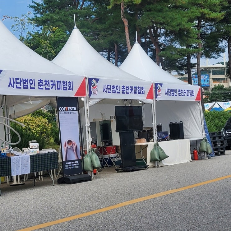  강원특별자치도 춘천 태권도축제 방문 후기