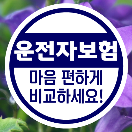  탑승자의 보루, 운전자보험 가격 계산에서 시작합니다.