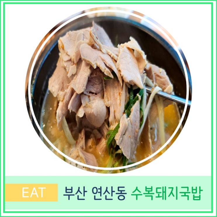  부산 연산동 수복 돼지 국밥 시청 근처 현지인 맛집