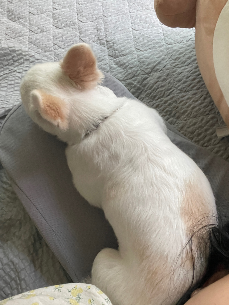  공부의 여러가지 방법은 어떻게 알 수 있을까요?