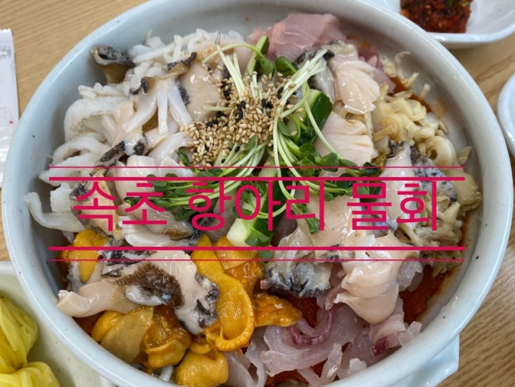 엄청난 맛집으로 최신 리모델링된 부모님 추억의 맛집 <속초 항아리 물회> 엄청난 맛집으로 최신 리모델링된 부모님 추억의 맛집 <속초 항아리 물회>