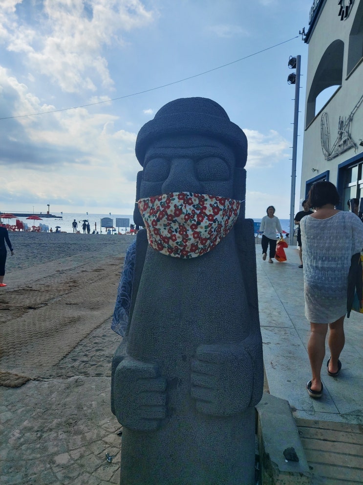  제주도 #6 마지막 날 사려니숲길과 이호테우 해변