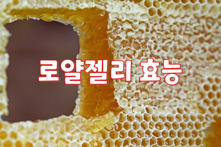 로얄젤리 효능 여왕벌이 먹는 '무병장수를 돕는 식품' 알고 먹어야 더욱 유익하여 크린리더가 알려드리는 시간!