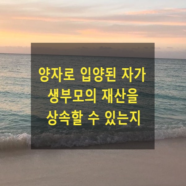  양자로 입양된 자가 생부모의 재산을 상속할 수 있는지