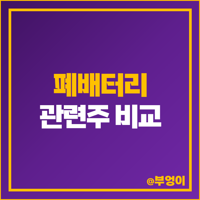 국내 폐배터리 관련주 종류 원익피앤이 파워로직스 주식 주가 국내 폐배터리 관련주 종류 원익피앤이 파워로직스 주식 주가