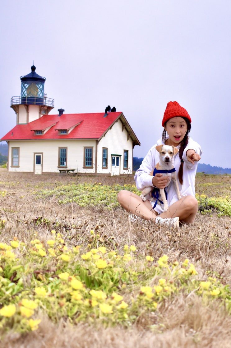  [Mendocino] 1번국도 볼거리 멘도치노의 시선강탈 빨간 지붕 등대, Cabrillo Lighthouse/카브릴로 등대