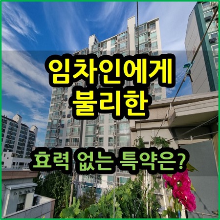  임차인에게 불리한 효력 없는 특약은?